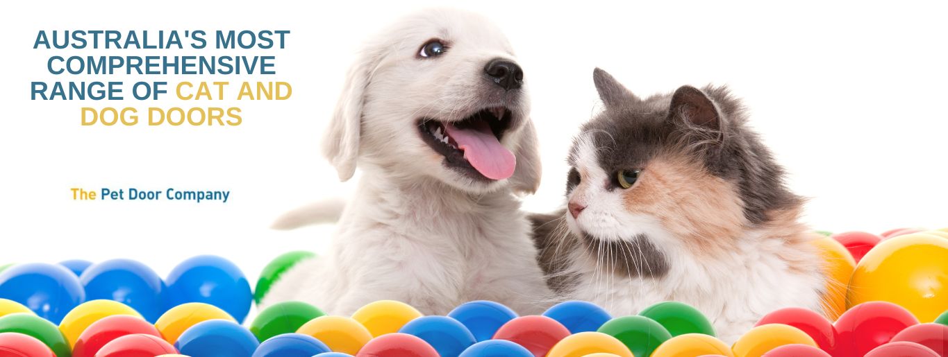 Australias Range Of Cat Flaps And Dog Doors