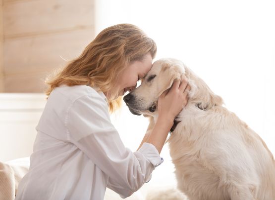 Benefits of a Pet Door
