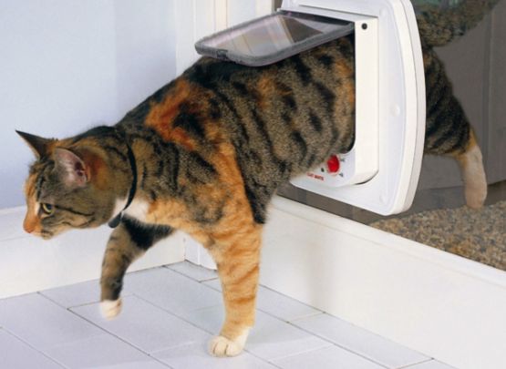 Electromagnetic Cat Door