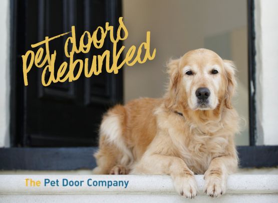 pet doors debunked